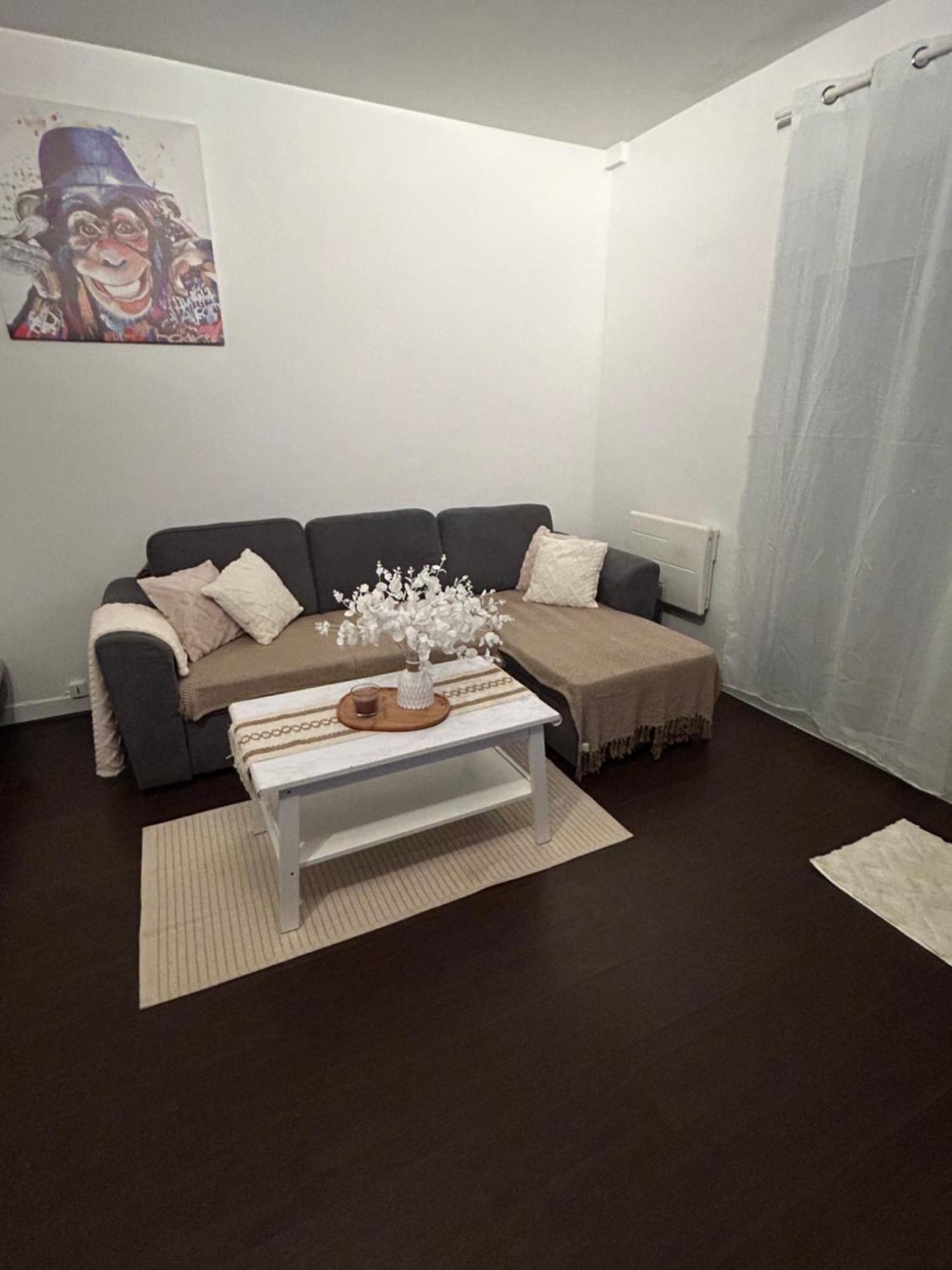 Studio, 10 Minutes D'orly / 20 Minutes De Paris Wissous